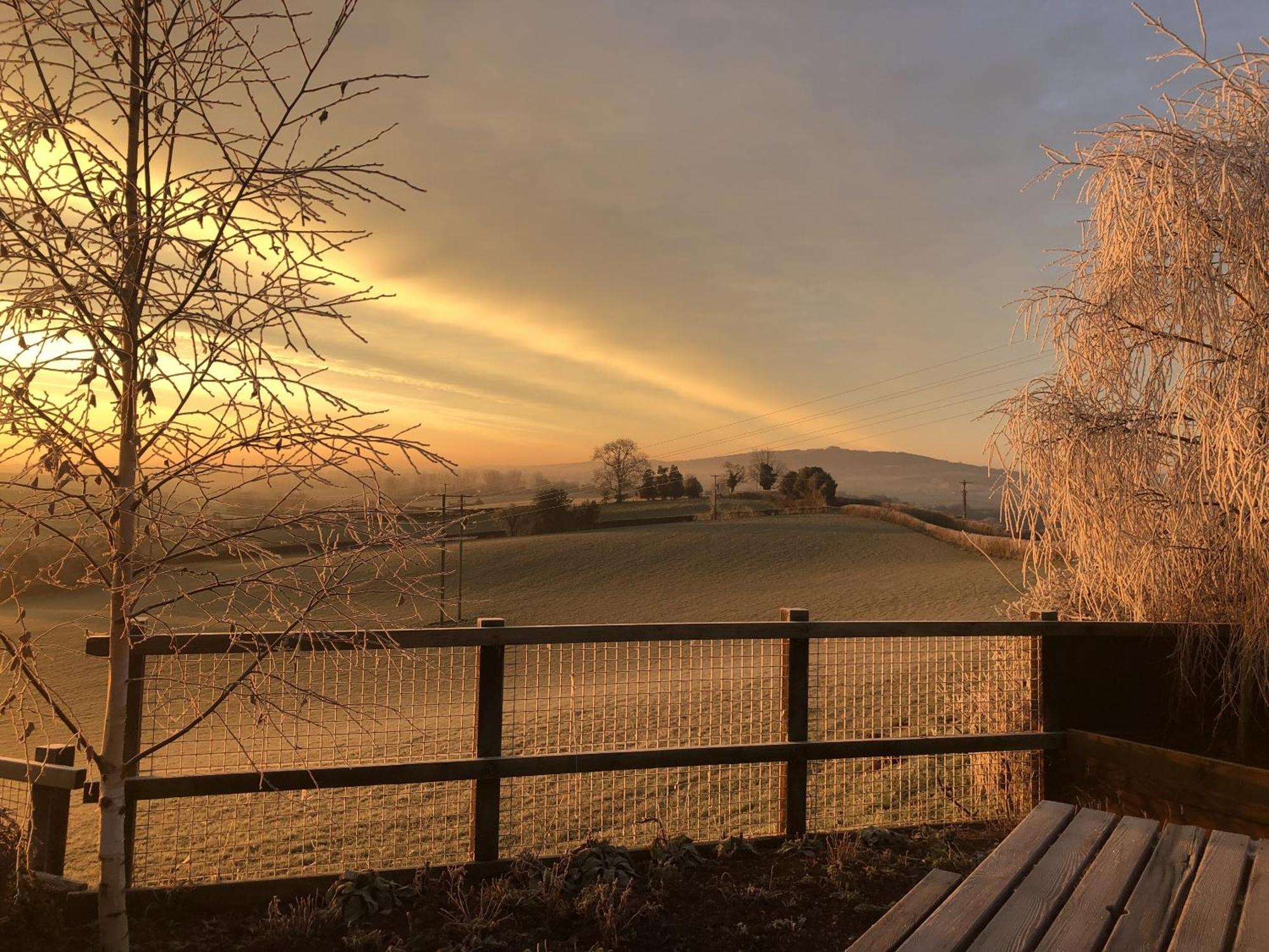 Betula Views Studio Newent Eksteriør billede